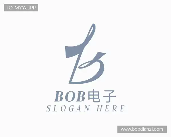 介绍BOB电子
